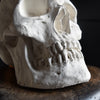 A Good Quality Direct Cast of a Skull.