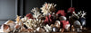 Extensive Collection of Vintage Coral and Shell Specimens (Group B)