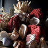 Extensive Collection of Vintage Coral and Shell Specimens (Group B)