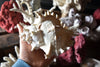 Extensive Collection of Vintage Coral and Shell Specimens (Group B)