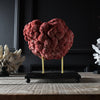Red Organ Pipe Coral Specimen (Tubipora musica) Mounted on base. **RESERVED**