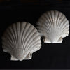 Wonderful Pair of Mid-Century Plaster Clam Shell Wall Sconces. Attr. to Serge Roche