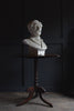 Antique French Plaster Bust of a Gentleman