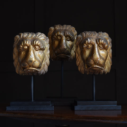 Three 19th Century Italian Gilt wood Lion Masks on Stands.
