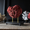 Red Organ Pipe Coral Specimen (Tubipora musica) Mounted on base. **RESERVED**