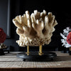 Decorative Large Vintage White Reef Coral Specimen on Stand.