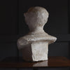 Antique French Plaster Bust of a Gentleman