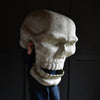 Giant Vintage Fair Ground Ghost Train Skull.