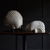 Wonderful Pair of Mid-Century Plaster Clam Shell Wall Sconces. Attr. to Serge Roche