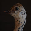 Characterful Ostrich Chick in Victorian Glass Dome.