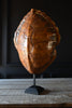 Early 20th Century Loggerhead Turtle Shell on Stand.