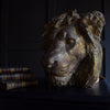 Superb 19th Century French Gilded Plaster Lion Mask.