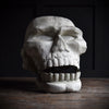 Giant Vintage Fair Ground Ghost Train Skull.