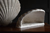 Wonderful Pair of Mid-Century Plaster Clam Shell Wall Sconces. Attr. to Serge Roche