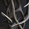 Early 20th Century Antler Tavern table.