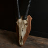 A Set Of Mounted African Gemsbok Horns 'Oryx gazella'