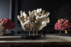 Decorative Large Vintage White Reef Coral Specimen on Stand.