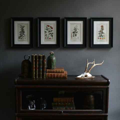 A Set Of Four 18th Century Botanical Engravings - Pierre Joseph François Turpin