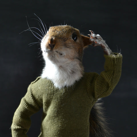 Salute! Soldier Squirrel.