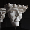 A Pair of 19th Century Grotesque Plaster Heads on Stands.