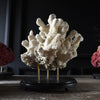 Decorative Large Vintage White Reef Coral Specimen on Stand.