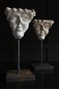 A Pair of 19th Century Grotesque Plaster Heads on Stands.