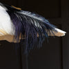 Wonderful Specimen of a Sacred Ibis.