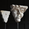 A Pair of 19th Century Grotesque Plaster Heads on Stands.