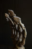 Magnificent Fossilised Ice Age Cave Bear Paw in Glass Dome.