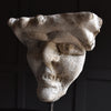 A Pair of 19th Century Grotesque Plaster Heads on Stands.