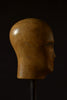 A French Sycamore Milliners Mannequin head, Circa 1900