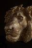 Superb 19th Century French Gilded Plaster Lion Mask.