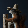 Checky Victorian Taxidermy Red Squirrel 'Sciurus vulgaris'