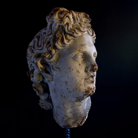 Beautiful Neoclassical Plaster Head, Circa 1900