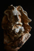 Decorative Cast iron Bust of Zeus, Circa 1930. 'SOLD'