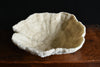Early 20th Century Large Natural Coral Bowl.
