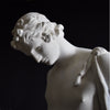 19th Century English Plaster Statue of Narcissus.