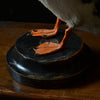 Wonderful Edwardian Puffin In Glass Dome