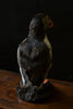 Wonderful Edwardian Puffin In Glass Dome