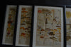 Four Framed Swedish Lithograph Prints Of Mushrooms, Circa 1901