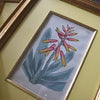 Set of Nine 18th Century Framed Hand Coloured Botanical Engravings - William Curtis, London 1799.