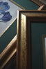 Set of Eight Framed Georgian Hand Coloured Botanical Engravings -  W.S Curtis, London 1800-1830