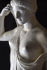 Alluring Life Size Plaster Statue of Venus Genetrix.
