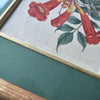 Set of Eight Framed Georgian Hand Coloured Botanical Engravings -  W.S Curtis, London 1800-1830