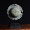 Rare Roman Legionary Bronze Scutum (Shield) Boss. Circa 1st-2nd Century A.D.