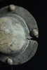 Rare Roman Legionary Bronze Scutum (Shield) Boss. Circa 1st-2nd Century A.D.