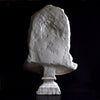 Huge Impressive Plaster Bust of the Otricoli Zeus.