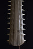 Monumental 19th Century Mounted Sawfish Rostrum Bill.