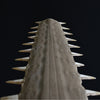 Monumental 19th Century Mounted Sawfish Rostrum Bill.
