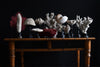 Beautiful Collection Fourteen Mounted Coral and Shell Specimens.